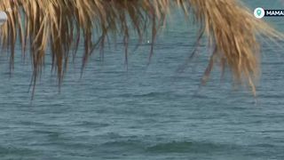 VIDEO „Prețurile vor suferi o modificare”. Litoralul, mai scump cu 10-15%