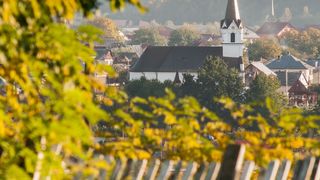 Valea Vaserului - Maramureș