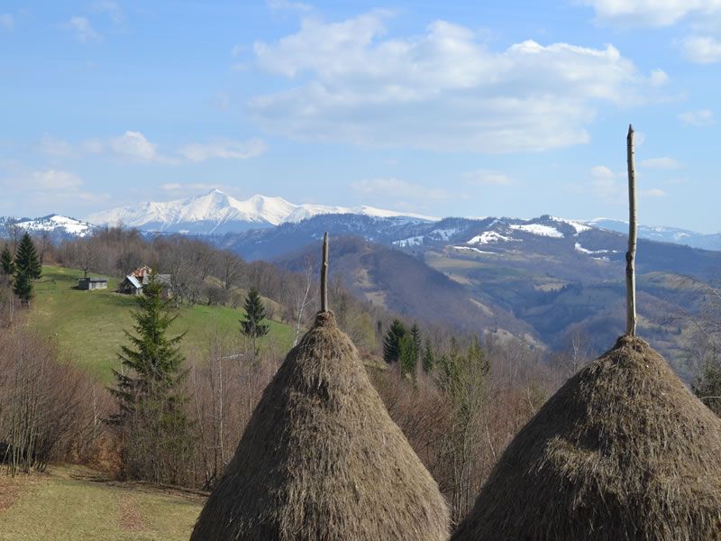 Valea Vaserului - Maramureș