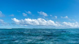 Temperatura apei Mării Negre &icirc;n iulie 2025