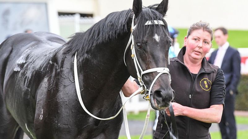 Peta Tait, lovită mortal de un cal