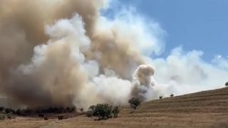 VIDEO Incendiu la marginea orașului. O fermă a fost distrusă