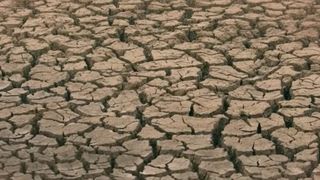 VIDEO Criză de apă în aproape toată țara. Nivelul Dunării scade alarmant din cauza temperaturilor extreme