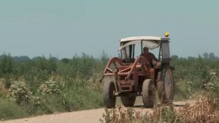 VIDEO &bdquo;Nu ai cu cine&rdquo;. Nu se găsesc zilieri nici la 300 de lei pe zi