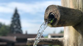 Izvoare binefăcătoare din Maramureș: Unde se găsesc așa-numitele borcuturi