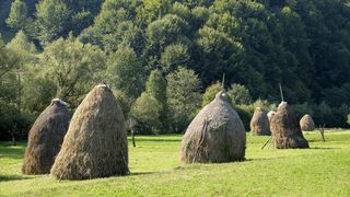 Vacanță autentică &icirc;n Maramureș