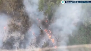 VIDEO Incendiu masiv &icirc;n Delta Dunării! Pompierii se luptă cu focul de 4 zile