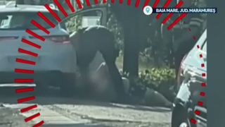 VIDEO Un șofer beat, urmărit de polițiști în Maramureș, a aruncat o armă letală pe șosea