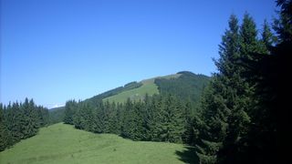 Drumeții în Obcinele Bucovinei: Trasee montane în județul Suceava