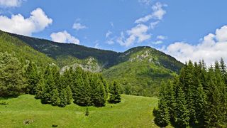 Stațiunile din România cu aer bogat în ozon. Una dintre ele se află în județul Neamț