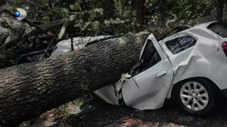 VIDEO Urmările vijeliei din Sinaia. Voluntarii salvamontiști și armata intervin &icirc;n oraș