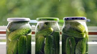 Castraveți murați de vară: O rețetă delicioasă perfectă pentru această perioadă