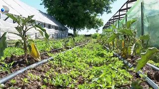 VIDEO &bdquo;Noi cumpărăm scump și vindem ieftin&rdquo;. Micii fermieri, afectați de scumpiri