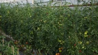 Recolta elevilor aduce investiții &icirc;n liceu