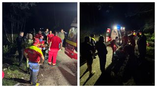 VIDEO Cioban atacat de urs l&acirc;ngă o st&acirc;nă din Argeș. Bărbatul a fost salvat &icirc;n ultima clipă