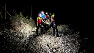 Cioban rănit grav de urs &icirc;n zona Cășcioiu