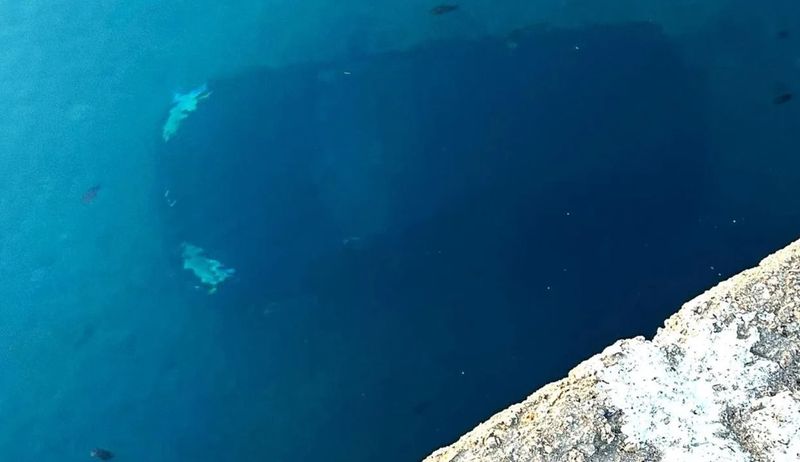 masina sufundata, roman italia, accident 