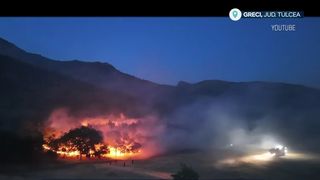 VIDEO Furtuni violente și incendii devastatoare. Meteorologii au emis zeci de alerte de vreme severă