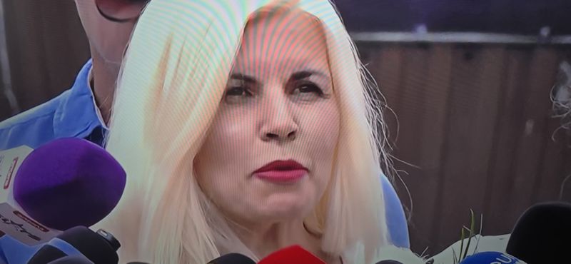Primele imagini cu Elena Udrea la ieșirea din penitenciar