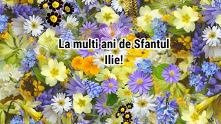 La mulți ani de Sf&acirc;ntul Ilie 2025! Mesaje, urări și felicitări pentru sărbătoriții zilei