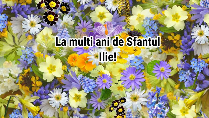 La mulți ani de Sfântul Ilie 2025