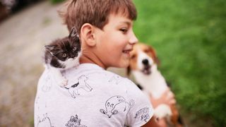 Un băiețel de trei ani a ajuns la spital după ce a fost mușcat de maidanezi, &icirc;n propria curte