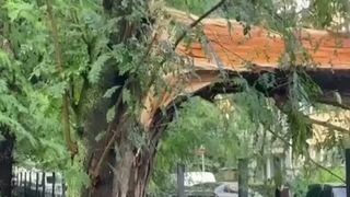 VIDEO Vijelie de cod roșu în Capitală, soldată cu moartea unei femei. Furtuna a provocat pagube uriașe. Mai multe zboruri au fost afectate