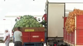 VIDEO Legumicultorii din Lungulețu, revoltați din cauza taxei pe apă. Oamenii se plâng că sunt nedreptățiți și își vor pierde recolta: "Nu am mai înaintat"