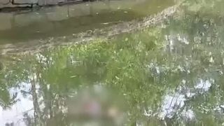 VIDEO Mister pe lacul Cr&acirc;ng, din Buzău. Mai multe rațe au fost găsite moarte