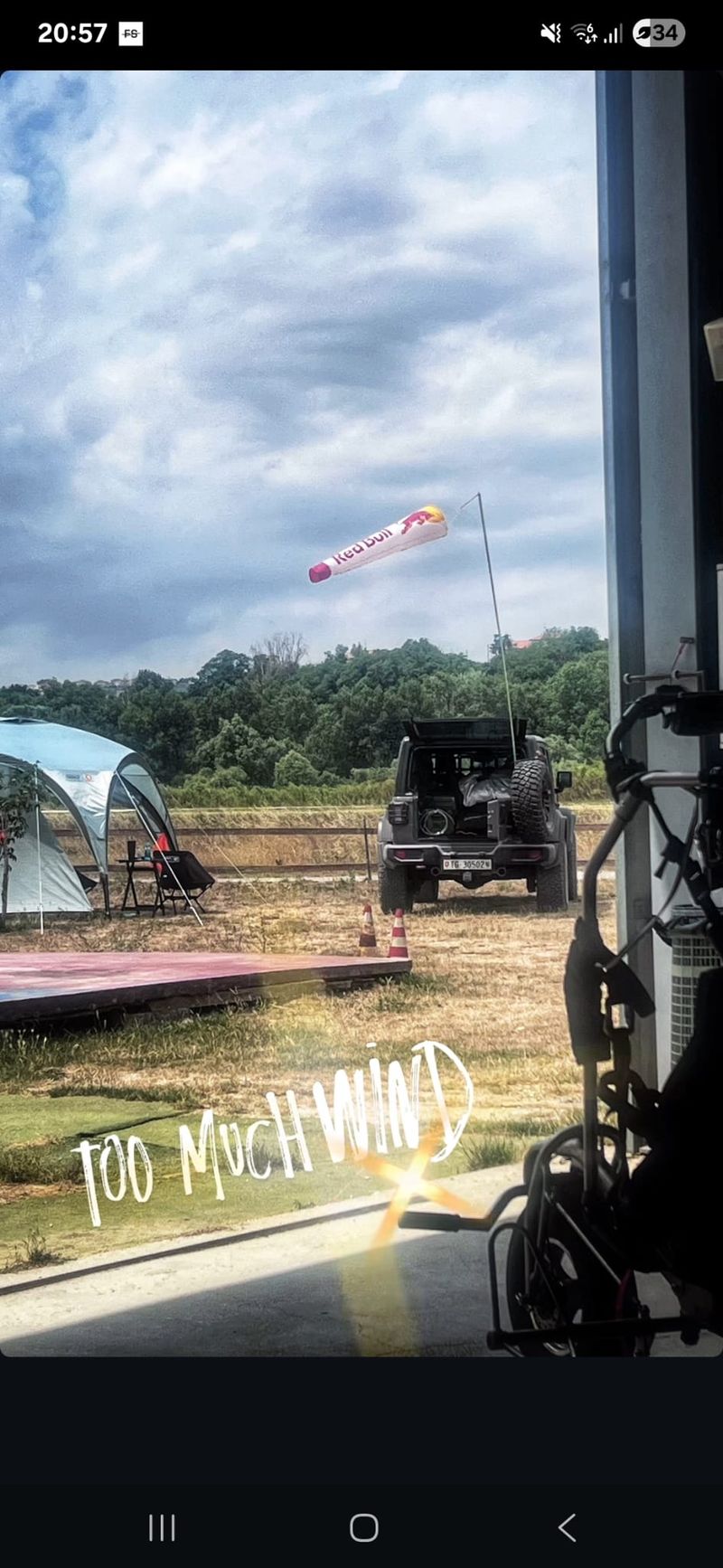 Felix Baumgartner, Mihaela Radulescu, sportiv mort 