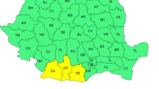 cod galben canicula, ANM