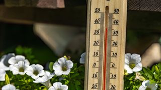 VIDEO Val de căldură în România! Temperaturile vor ajunge la 41 de grade la umbră