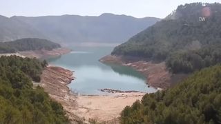 VIDEO Cod roșu: 45 de grade în Italia și Grecia