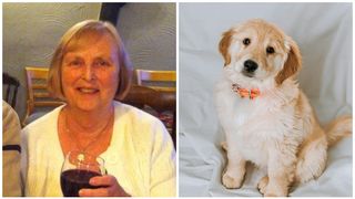 O femeie a murit după ce cățelul nepoatei sale a lins-o pe picior. "Saliva i-a fost fatală"