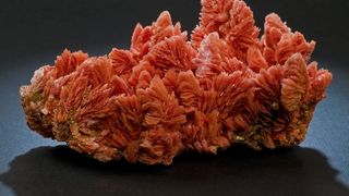 Muzeul de Mineralogie din Maramureș ascunde comori fabuloase: Ce sunt florile de mină?