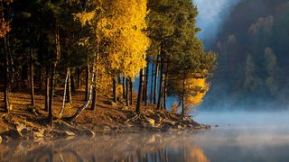 Cât costă să te plimbi cu vaporașul pe Lacul Firiza din Maramureș