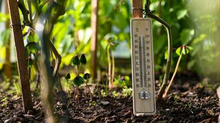 Coduri de caniculă &icirc;n aproape toată Rom&acirc;nia