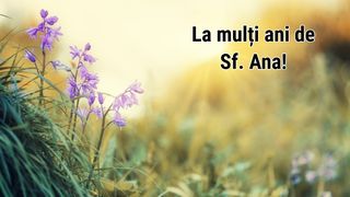 Mesaje de Sf&acirc;nta Ana 2025: Urări și felicitări cu La mulți ani