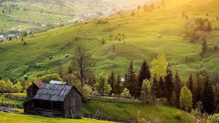 C&acirc;t costă să &icirc;nchiriezi o cabană &icirc;n Suceava