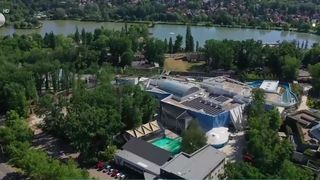 VIDEO O grădină zoologică din Ungaria, paradis pentru mulți români