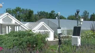 VIDEO Tehnologia, &icirc;n ajutorul agriculturii din Buzău. Sistem meteo smart pentru legumicultori