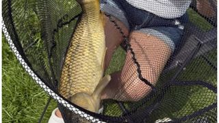 Yvonne Ford a murit de rabie după ce un cățel a zg&acirc;r&acirc;iat-o pe picior