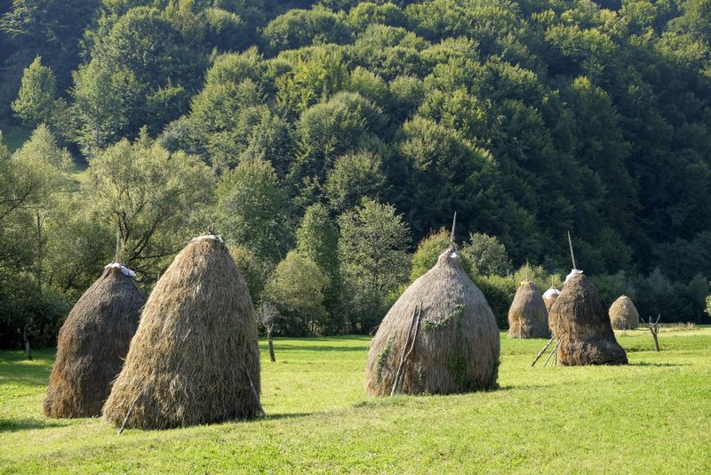Obiective turistice - Maramureș