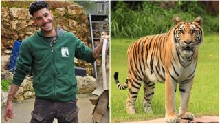 Un angajat de 36 de ani de la Grădina Zoologică, ucis de un tigru evadat din țarc