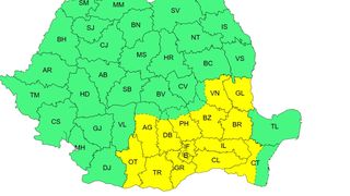 cod galben canicula, cod galben furtuni, ANM 