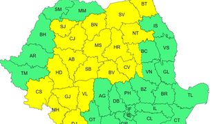 cod galben canicula, cod galben furtuni, ANM 