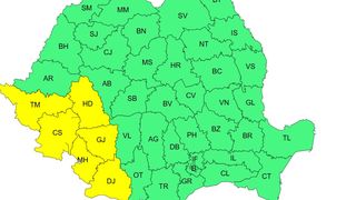 cod galben canicula, cod galben furtuni, ANM 