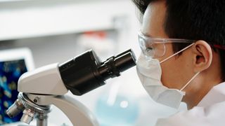 &bdquo;Ț&acirc;nțarii canibali&rdquo; luptă cu noua epidemie din China. Virusul &bdquo;chikungunya&rdquo;, depistat la peste 6000 de persoane