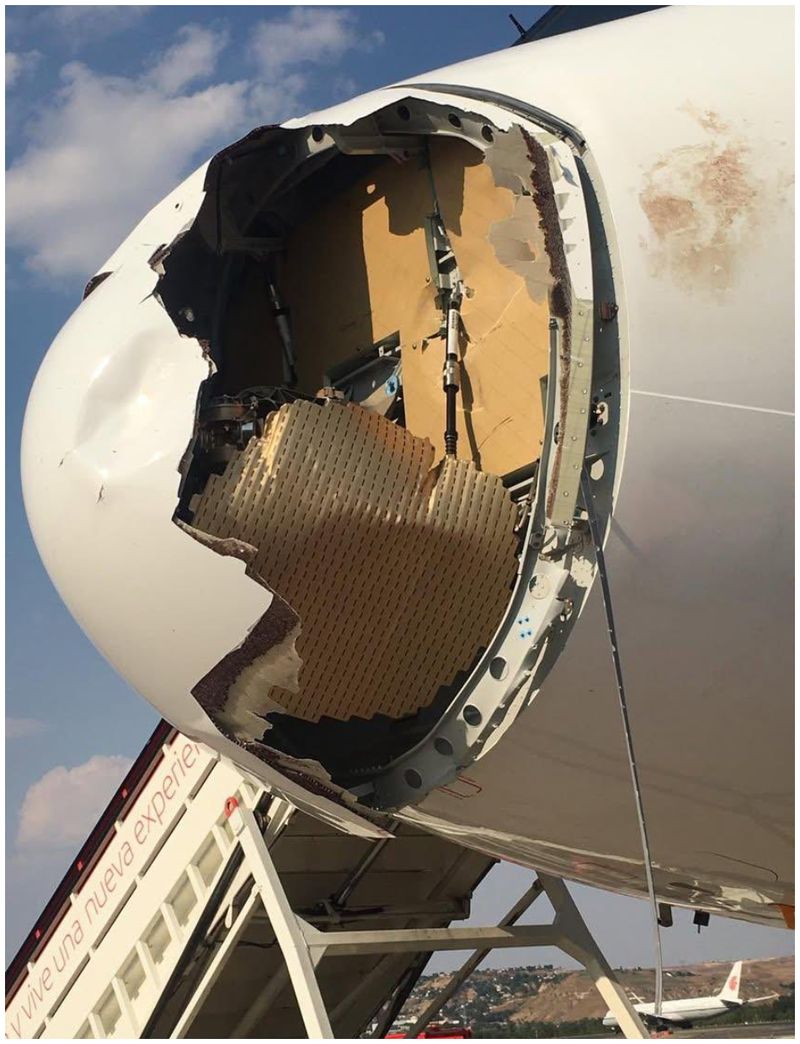 Avarie majoră din cauza unei păsări