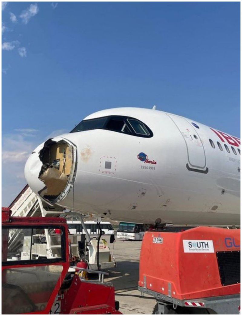 Avarie majoră din cauza unei păsări